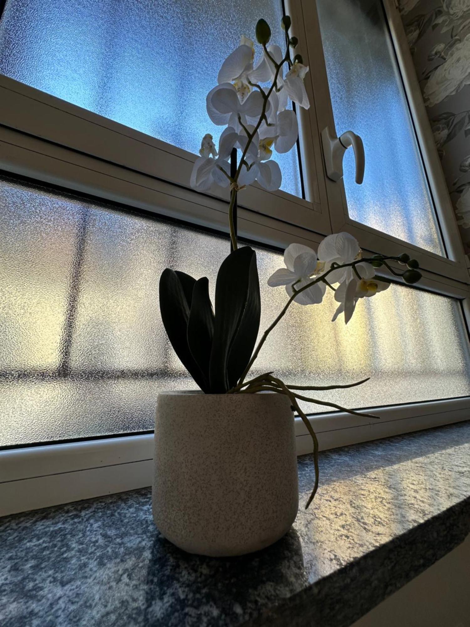 Flowers, A Cozy Suite In Mediolan Zewnętrze zdjęcie